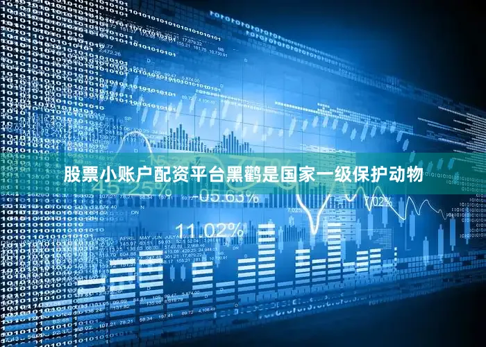 股票小账户配资平台黑鹳是国家一级保护动物