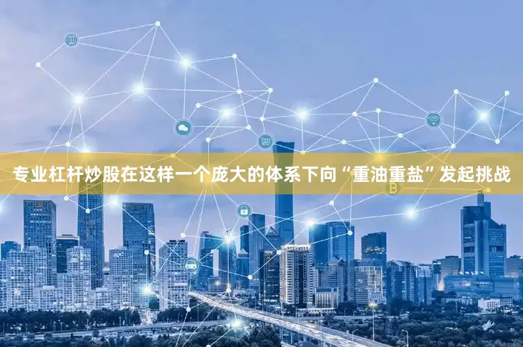 专业杠杆炒股在这样一个庞大的体系下向“重油重盐”发起挑战