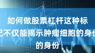 如何做股票杠杆这种标记不仅能揭示肿瘤细胞的身份
