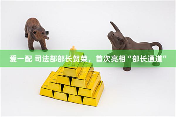 爱一配 司法部部长贺荣，首次亮相“部长通道”