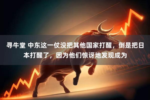 寻牛堂 中东这一仗没把其他国家打醒，倒是把日本打醒了，因为他们惊讶地发现成为