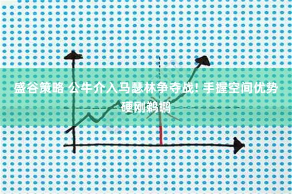 盛谷策略 公牛介入马瑟林争夺战! 手握空间优势硬刚鹈鹕